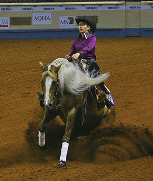 Courtney Battison Quarter Horses Stallions